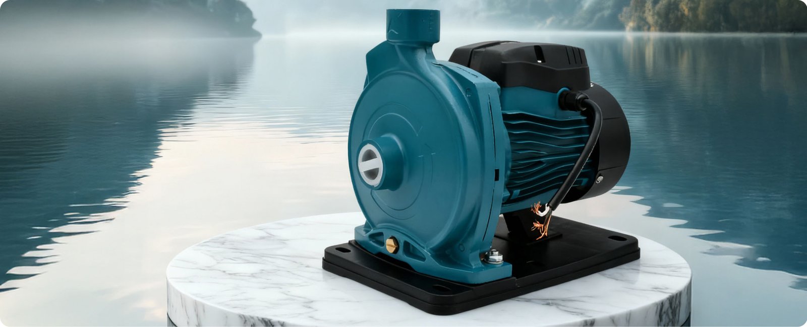 new one dummy content