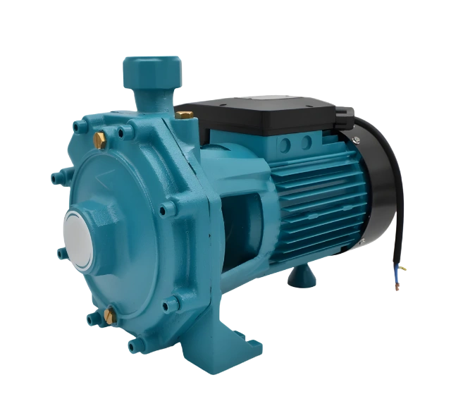 2ACmk 150  Multi-Centrifugal Pumps